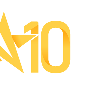 Team Page: 2010